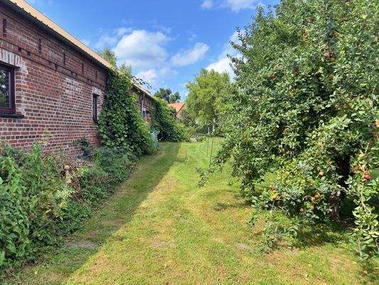 Garten hinter dem NG