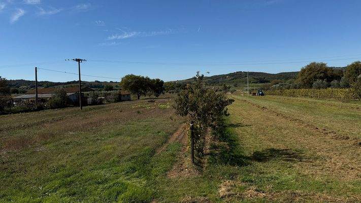 6DDE81A2-91BE-4F7D-A5C4-3DAD67144162_1_102_a