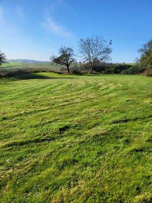 Baugrundstück mit Fernblick.jpg