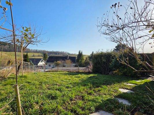 pflegeleichter kleiner Garten