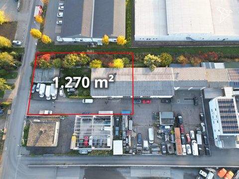 Groß-Zimmern Häuser, Groß-Zimmern Haus kaufen