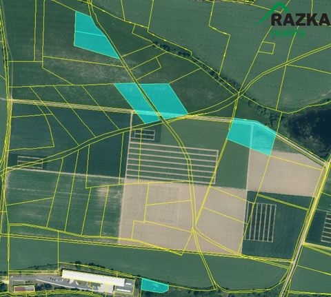 Horazdovice Bauernhöfe, Landwirtschaft, Horazdovice Forstwirtschaft