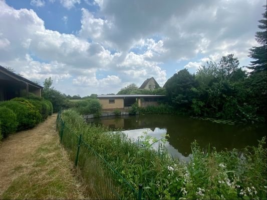 Blick über den Teich zur Garag