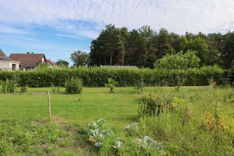 Groß Kreutz (Havel) Renditeobjekte, Mehrfamilienhäuser, Geschäftshäuser, Kapitalanlage