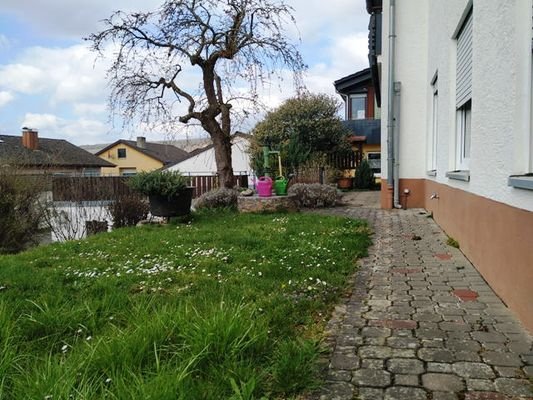 Garten-/Rasenfläche vor dem Haus