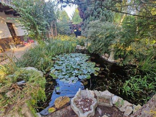 543936358_1518876862628756_3996436737286472262_n.j