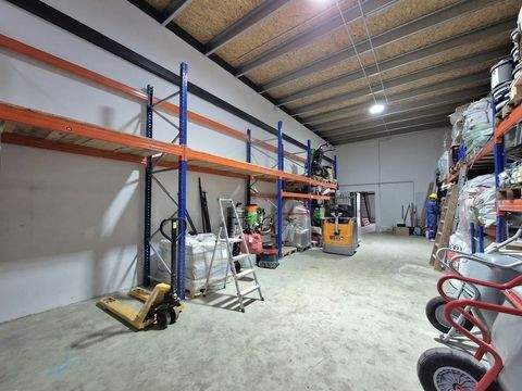 Dresden Halle, Dresden Hallenfläche