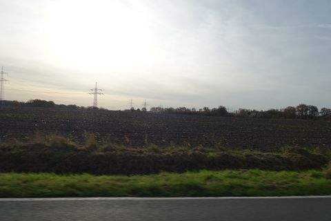 Warpe / Helzendorf Bauernhöfe, Landwirtschaft, Warpe / Helzendorf Forstwirtschaft