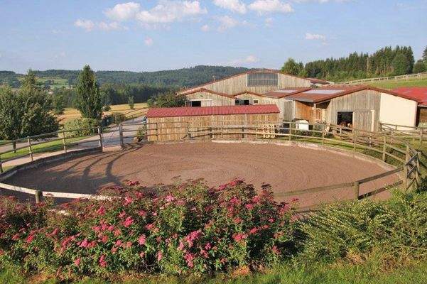 2538MP Frankreich, Vogesen, Epinal, Gestüt, Reitzentrum zu verkaufen