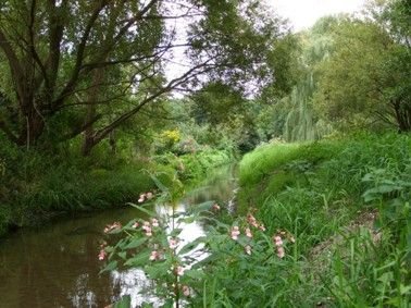 Natur in Schulzendorf