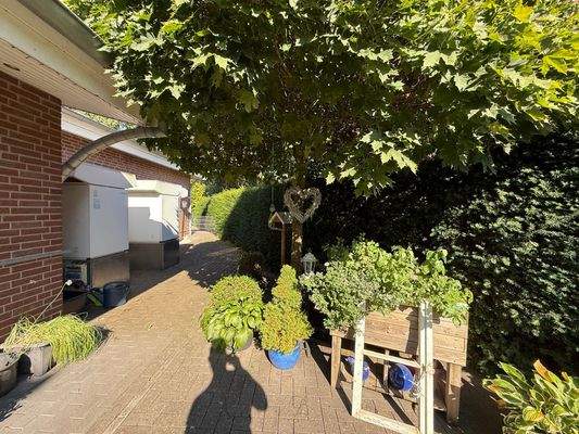 Gartenweg mit Pflanzen