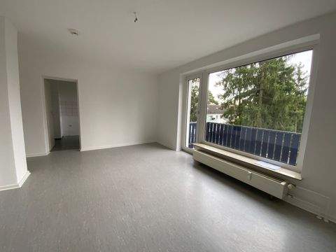 Stadtallendorf Wohnungen, Stadtallendorf Wohnung mieten