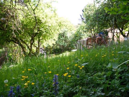 DS055099_Unterer Garten April.jpg