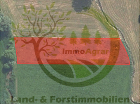 Aichach Bauernhöfe, Landwirtschaft, Aichach Forstwirtschaft
