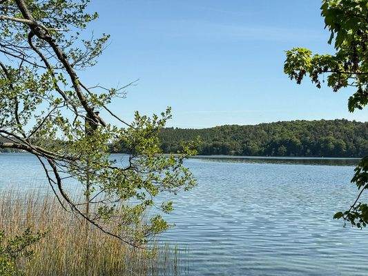 Werbellinsee - Sommerimpression