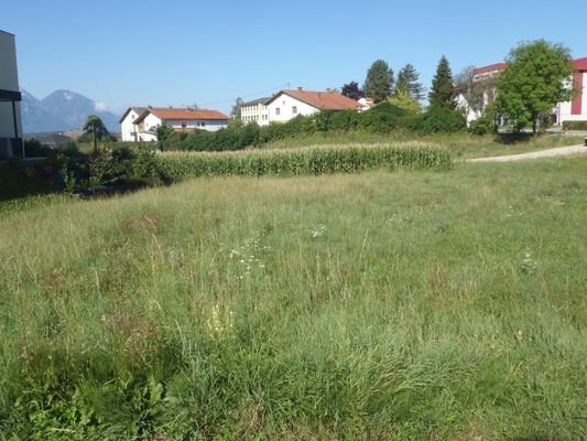 Baugrundstück in sonniger Aussichtslage