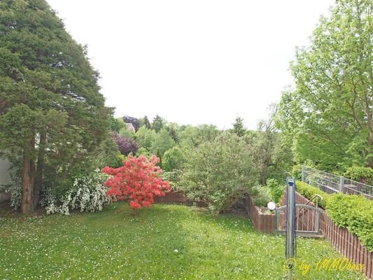 kleiner Gartenbereich