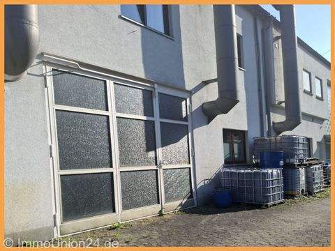 Schwabach Halle, Schwabach Hallenfläche