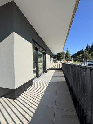 20250919_144440282_iOS