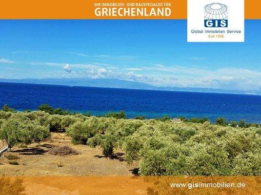 Blick auf das Grundstück