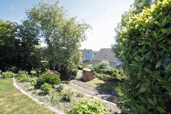 Blick aufs Grundstück