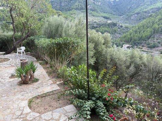 70a14cac-c94b-4f7d-8057-f4eb44201717