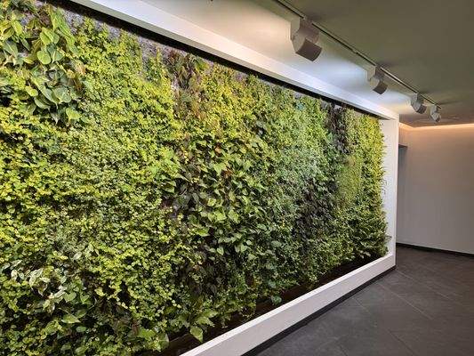 repräsentativer Eingangsbereich