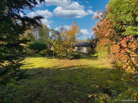 Zühlsdorf Häuser, Zühlsdorf Haus kaufen