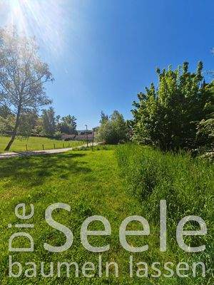 Seele baumeln lassen.jpg