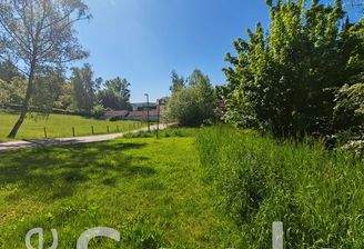 Seele baumeln lassen.jpg