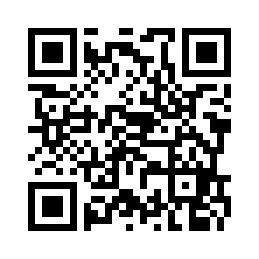 Die Video-Besichtigung.