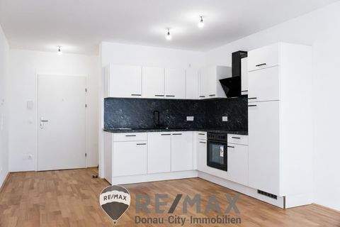 Wien Wohnungen, Wien Wohnung mieten