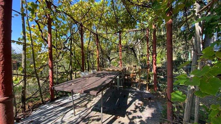 Immagine WhatsApp 2023-09-30 ore 18.22.43_959151db