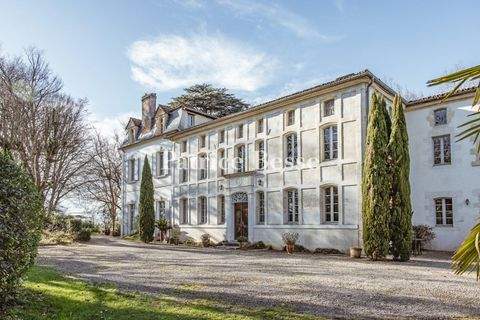 Montfort-en-Chalosse Häuser, Montfort-en-Chalosse Haus kaufen