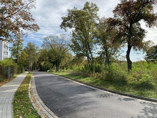 Blick Richtung Osten / Bahn