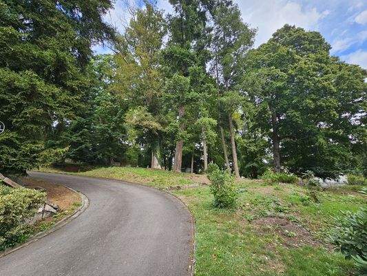 5264 - westlicher Bereich mit Zufahrt