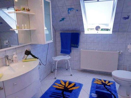 Fewo Badezimmer (Haupthaus)