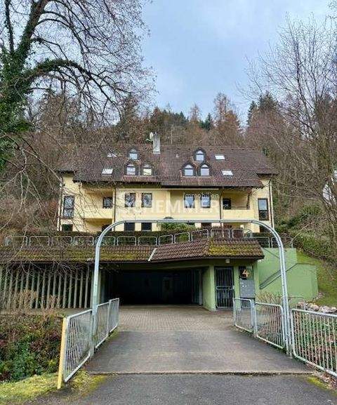 Freiburg im Breisgau Wohnungen, Freiburg im Breisgau Wohnung kaufen