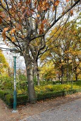 Driesener_29_tk_6626-