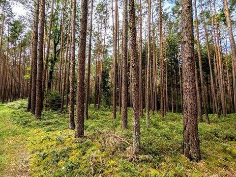 Eckental Bauernhöfe, Landwirtschaft, Eckental Forstwirtschaft