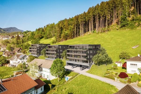 Am Berghang von Muntlix