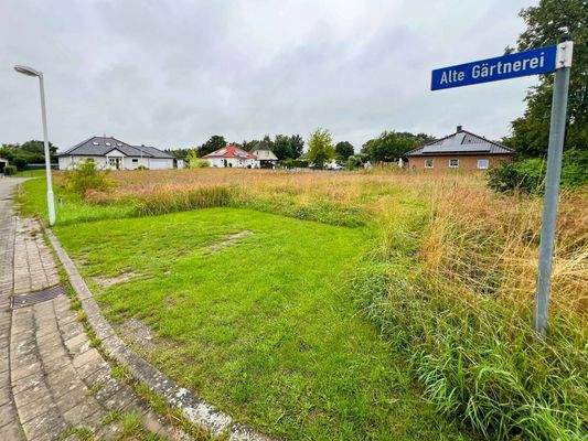 Stellplätze links vorne