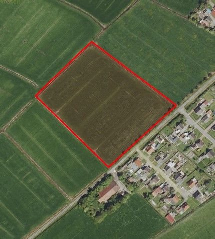 Jemgum / Midlum Bauernhöfe, Landwirtschaft, Jemgum / Midlum Forstwirtschaft