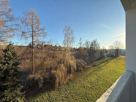 Balkonblick ins Grüne