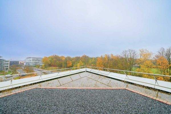 Terrasse mit Dachteich