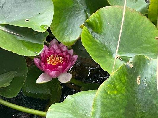 PHOTO-2023-11-02-17-09-22 3.jpg