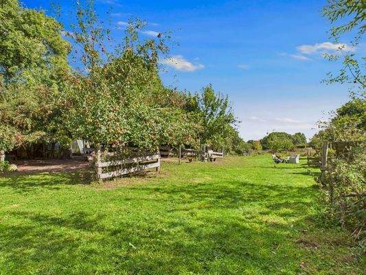 Apfelbäume - Lütt Immobilien - Bönebüttel