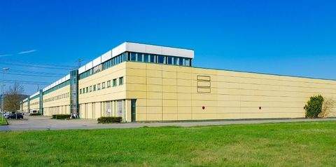 Dresden Halle, Dresden Hallenfläche