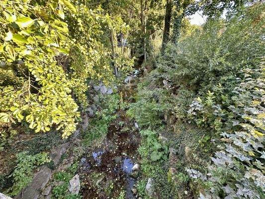 Natur pur vor dem Haus