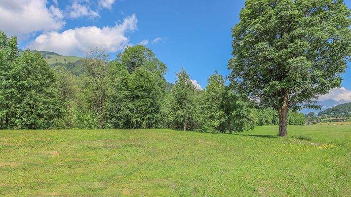 KITZIMMO-Baugrundstück mit Baugenehmigung in Aurach bei Kitzbühel.